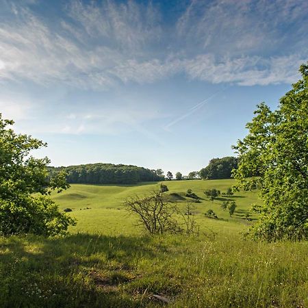 Nengshof Ferienhaus Gaensebluemchen Wissmannsdorf Luaran gambar