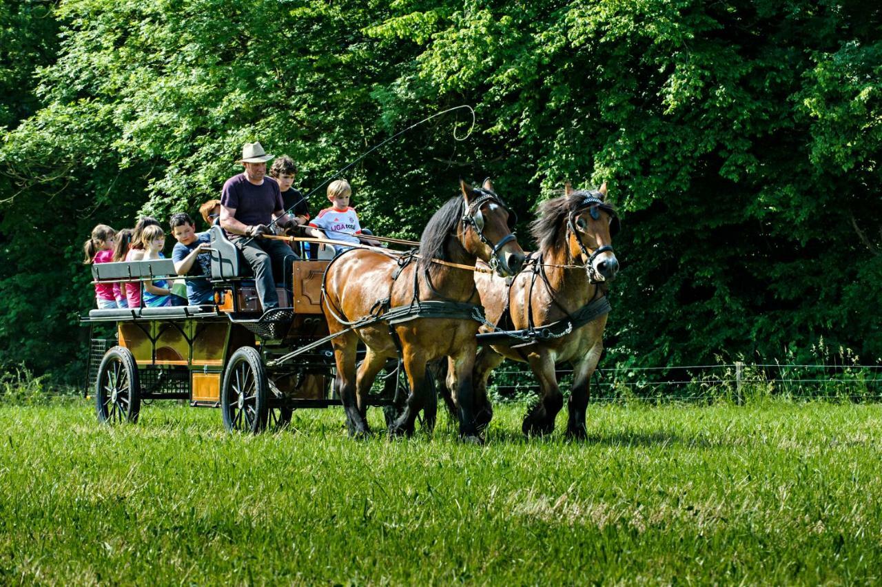 Nengshof Ferienhaus Gaensebluemchen Wissmannsdorf Luaran gambar